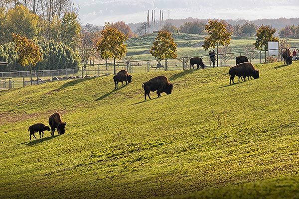 Tiergehege Mundenhof Freiburg