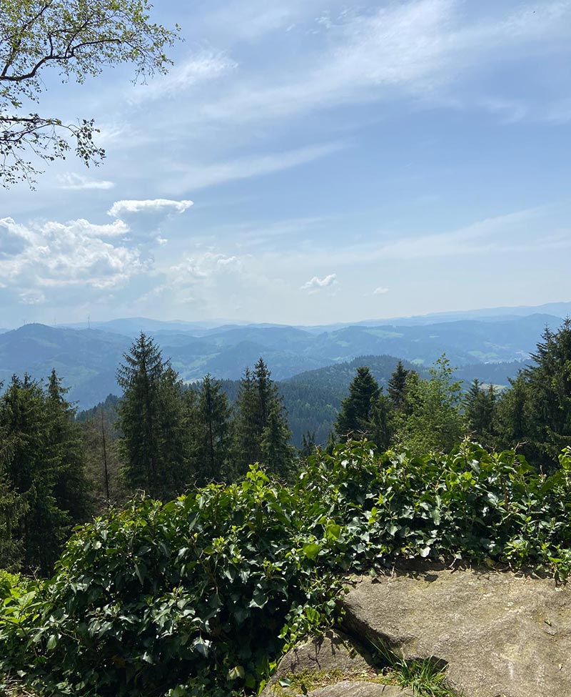 Schwarzwaldlandschaft